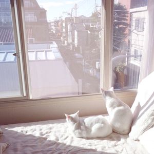 情侣做爱摸胸视频
