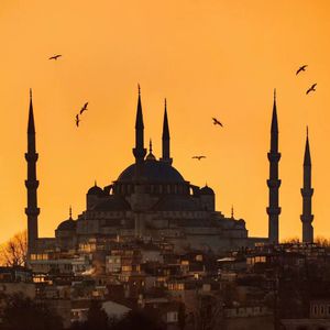 情侣做爱摸胸视频
